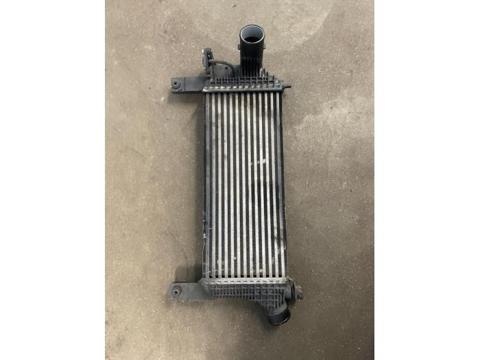 Usados Intercooler Nissan Pathfinder (R51) 2.5 dCi 16V 4x4 Precio de solicitud ofrecido por Bongers Auto-Onderdelen Zeeland