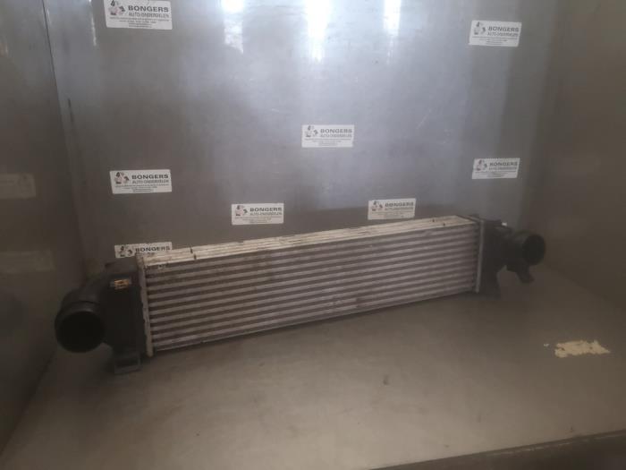 Used Intercooler Ford S-Max (GBW) 2.0 Ecoboost 16V Price on request offered by Bongers Auto-Onderdelen Zeeland