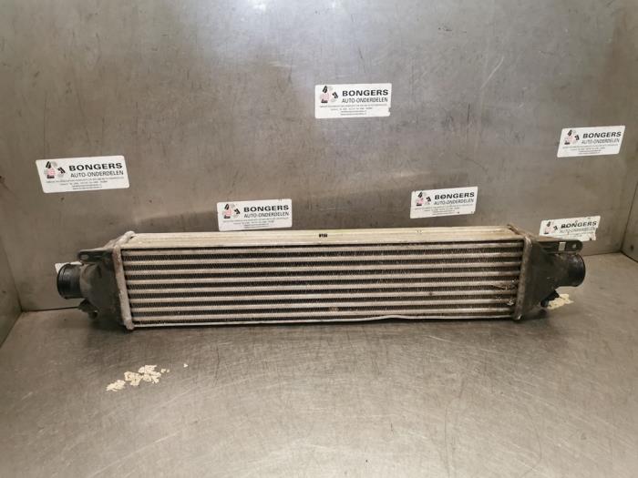 Usagé Intercooler Alfa Romeo MiTo (955) 1.6 JTDm 16V Prix sur demande proposé par Bongers Auto-Onderdelen Zeeland