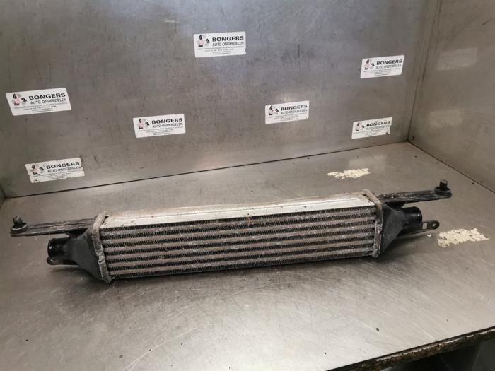 Usados Intercooler Fiat Grande Punto (199) 1.3 JTD Multijet 16V Precio de solicitud ofrecido por Bongers Auto-Onderdelen Zeeland