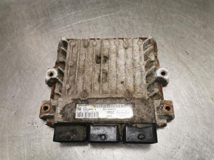 Used Engine management computer Ford Transit Custom 2.2 TDCi 16V Price on request offered by Bongers Auto-Onderdelen Zeeland