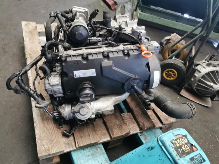 Used Engine Volkswagen Transporter T5 1.9 TDi Price on request offered by Bongers Auto-Onderdelen Zeeland