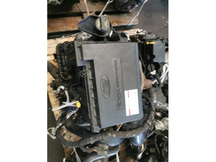 Motor Ford Transit, 2006 / 2014 2.2 TDCi 16V, Lieferwagen, Diesel, 2.198cc, 63kW (86pk), FWD, P8FA; EURO4; P8FB, 2006-04 / 2014-08 (Gebraucht)