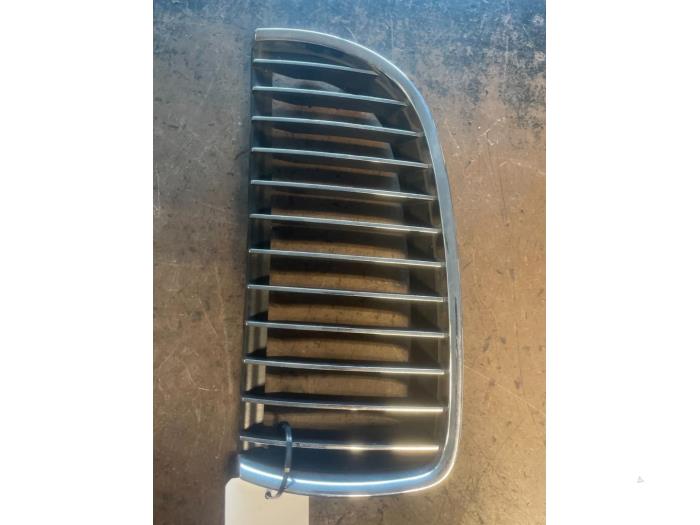Grille from a BMW 3 serie (E90) 318i 16V 2009