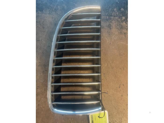 Grille from a BMW 3 serie (E90) 318i 16V 2009