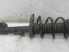 Front shock absorber rod, left from a Renault Clio III (BR/CR), 2005 / 2014 1.2 16V 75, Hatchback, Petrol, 1 149cc, 55kW (75pk), FWD, D4F740; D4FD7; D4F706; D4F764; D4FE7, 2005-06 / 2014-12, BR/CR1J; BR/CRCJ; BR/CR1S; BR/CR9S; BR/CRCS; BR/CRFU; BR/CR3U; BR/CRP3 2010