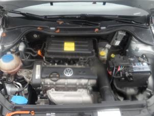 Used Engine Volkswagen Polo V (6R) 1.4 16V Price on request offered by Bongers Auto-Onderdelen Zeeland