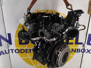 Usados Motor Ford Fiesta 7 1.1 Ti-VCT 12V 85 Precio € 2.223,38 IVA incluido ofrecido por Autodemontagebedrijf van Boxtel