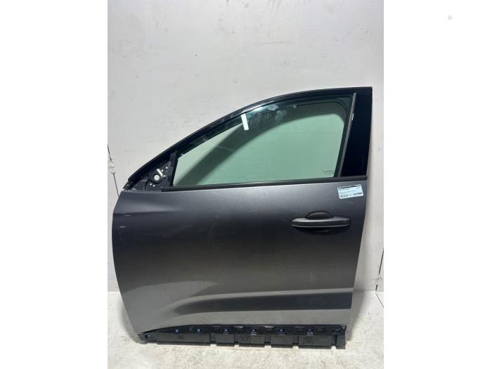 Door 4-door, front left Renault Austral 1.3 TCe 140 BIYUY - 801018968R