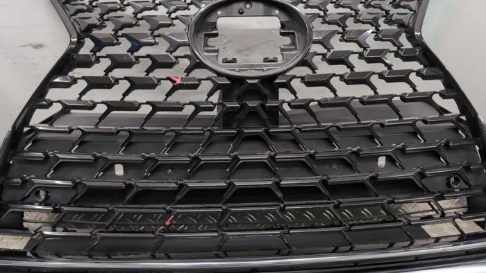 Używane Grill Lexus UX 200 2.0 16V Cena € 315,00 Procedura marży oferowane przez Autodemontagebedrijf van Boxtel