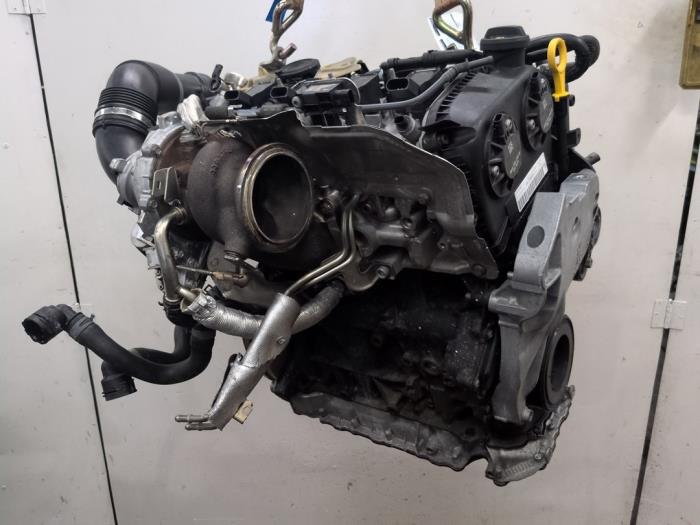 Engine from a Volkswagen Golf VIII (CD1) 2.0 GTI 16V 2021