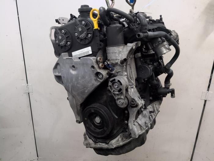 Engine from a Volkswagen Golf VIII (CD1) 2.0 GTI 16V 2021