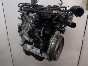Engine from a Volkswagen Golf VIII (CD1) 2.0 GTI 16V 2021