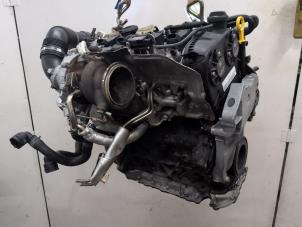 Engine from a Volkswagen Golf VIII (CD1) 2.0 GTI 16V 2021