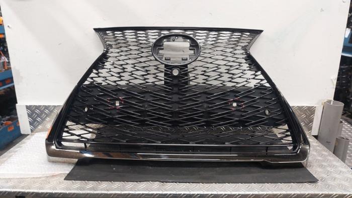 Używane Grill Lexus UX 200 2.0 16V Cena € 288,75 Procedura marży oferowane przez Autodemontagebedrijf van Boxtel