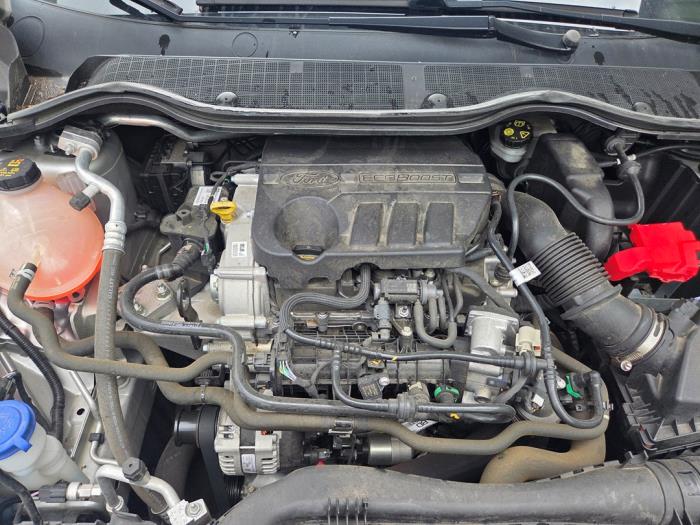 Used Engine Ford Fiesta 7 1.0 EcoBoost 12V Price € 1.575,00 Margin scheme offered by Autodemontagebedrijf van Boxtel