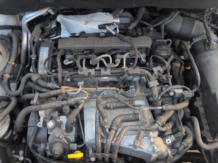 Engine  Caddy IV, 2015 2.0 TDI 75, Delivery, Diesel, 1.968cc, 55kW (75pk), FWD, CUUF; DFSC; DFSF, 2015-05 / 2020-09 (Used)