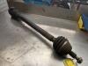Front drive shaft, right from a Seat Leon (1M1), 1999 / 2006 1.9 TDI 110, Hatchback, 4-dr, Diesel, 1.896cc, 81kW (110pk), FWD, ASV, 1999-12 / 2005-09, 1M1 2005