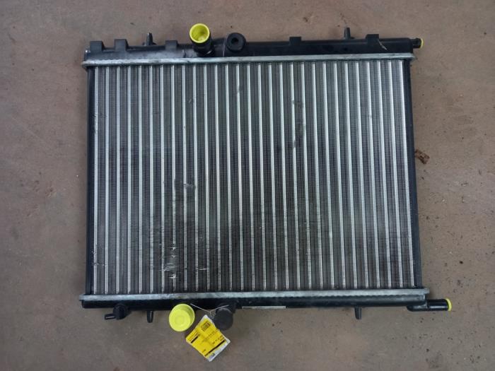 Radiator from a Peugeot 307 (3A/C/D) 1.6 16V 2002