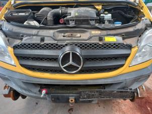 Gebrauchte Grill Mercedes Sprinter 5t (906.63/65) 516 CDI 16V Preis € 40,00 Margenregelung angeboten von Akkie Stomphorst Autodemontage