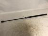 Rear gas strut, left from a Ford Focus 2 Wagon 1.6 TDCi 16V 110 2007