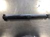Ford Focus Rear shock absorber, right