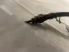 Front brake hose from a Fiat Panda (141) 1100 IE,Selecta 2002