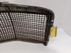 Grille from a Mercedes-Benz /8 (W115) 250 2.8 1973