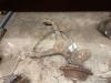 Mercedes-Benz Vito (638.1/2) 2.2 CDI 108 16V Querlenker links hinten
