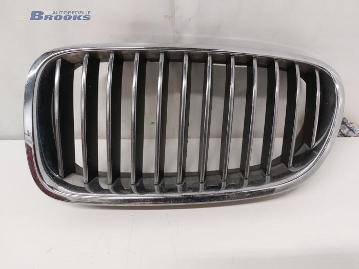 Grille from a BMW 5 serie Touring (F11) 530d 24V Blue Performance 2012