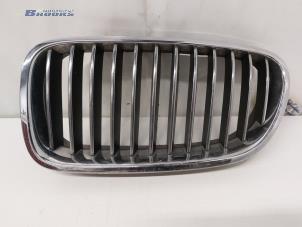 Used Grille BMW 5 serie Touring (F11) 530d 24V Blue Performance Price € 30,00 Margin scheme offered by Autobedrijf Brooks