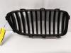Grille from a BMW 5 serie Touring (F11) 530d 24V Blue Performance 2012