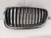 BMW 5 serie Touring (F11) 530d 24V Blue Performance Grille