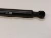 Rear gas strut, left from a Renault Clio IV (5R) 0.9 Energy TCE 90 12V 2017