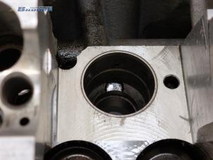Culasse d'un Volkswagen Caddy III (2KA,2KH,2CA,2CH) 1.9 TDI 2008