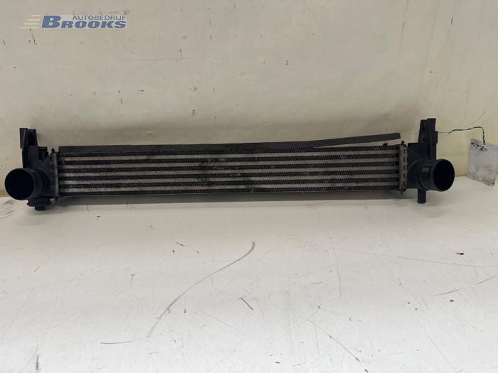 Intercooler Volkswagen Polo V (6R), 2009 / 2017 1.2 TDI 12V BlueMotion, Berline avec hayon arrière, Diesel, 1.199cc, 55kW (75pk), FWD, CFWA, 2009-10 / 2014-05 (Occasion)