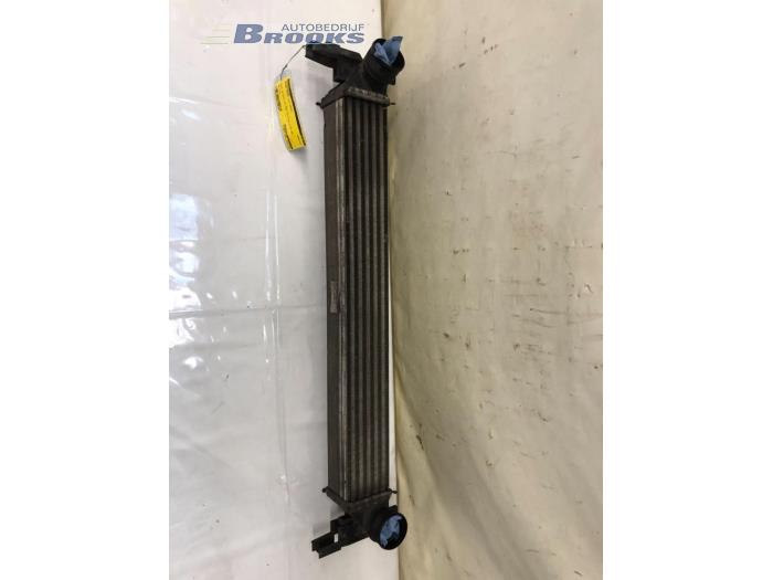 Usados Intercooler Skoda Fabia II Combi 1.2 TDI 12V Greenline Precio € 25,00 Norma de margen ofrecido por Autobedrijf Brooks