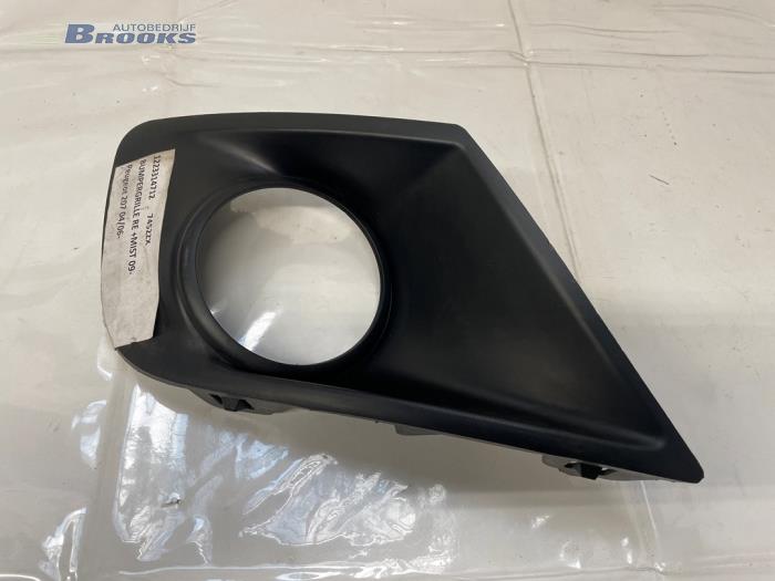 Gebrauchte Stoßstangenrost Peugeot 207/207+ (WA/WC/WM) 1.4 Preis auf Anfrage angeboten von Autobedrijf Brooks