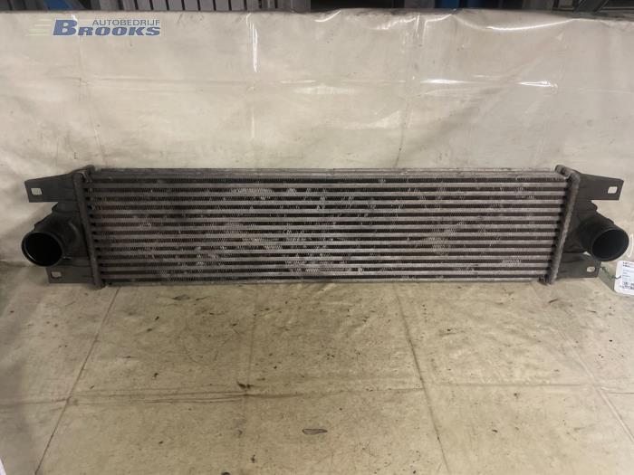 Intercooler from a Opel Movano Combi 2.5 DTI 2006