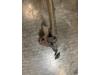 Rear leaf spring from a Opel Movano Combi 2.5 DTI 2006