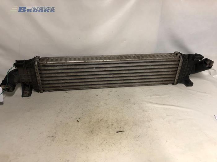 Usados Intercooler Ford Focus 2 1.6 TDCi 16V 110 Precio € 37,50 Norma de margen ofrecido por Autobedrijf Brooks