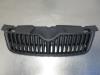 Grille from a Skoda Fabia 2010