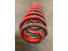 Rear coil spring from a Audi A3 (8L1) 1.6 1998