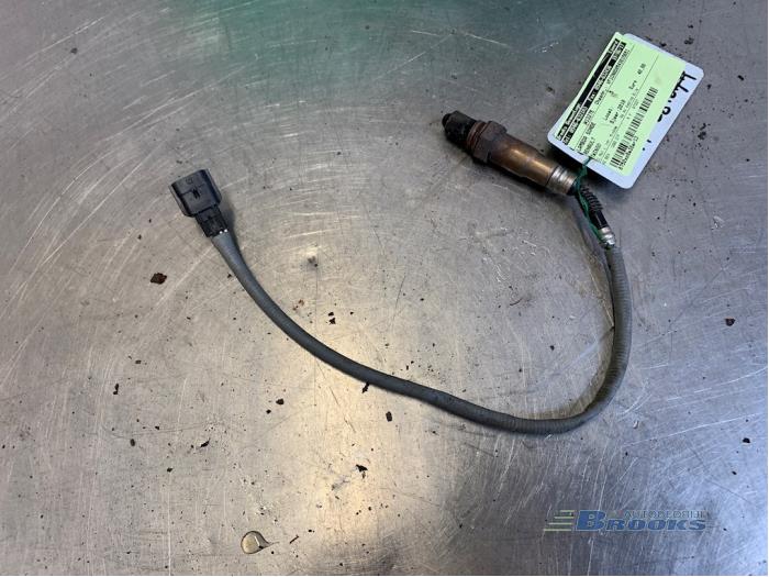 Usados Sonda Lambda Renault Twingo II (CN) 1.2 Precio € 32,00 Norma de margen ofrecido por Autobedrijf Brooks