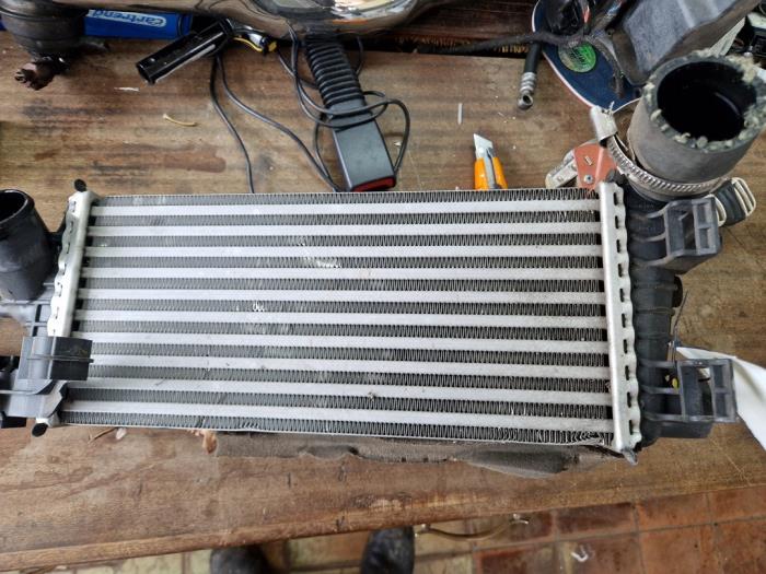 Intercooler Ford Focus 3 Wagon, 2010 / 2020 1.0 Ti-VCT EcoBoost 12V 125, Combi, Essence, 998cc, 92kW (125pk), FWD, M1DA; M1DD; M1DC, 2012-02 / 2018-05 (Occasion)