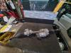 Steering box from a BMW 3 serie (E90) 320d 16V Corporate Lease 2010