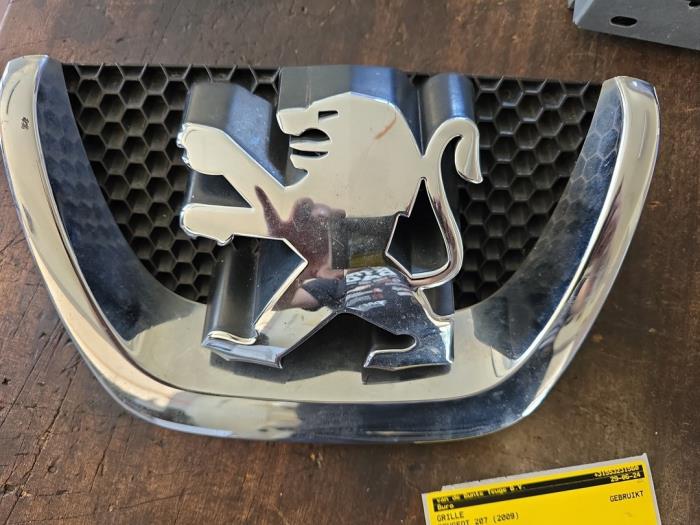 Begagnade Grill Peugeot 207/207+ (WA/WC/WM) 1.4 16V Vti Pris € 26,25 Marginaltabell erbjuds av van de Bunte Teuge B.V.