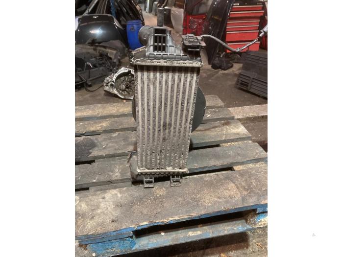 Intercooler Ford Focus 3 Wagon, 2010 / 2020 1.0 Ti-VCT EcoBoost 12V 125, Combi, Essence, 998cc, 92kW (125pk), FWD, M1DD, 2014-11 / 2018-05 (Occasion)