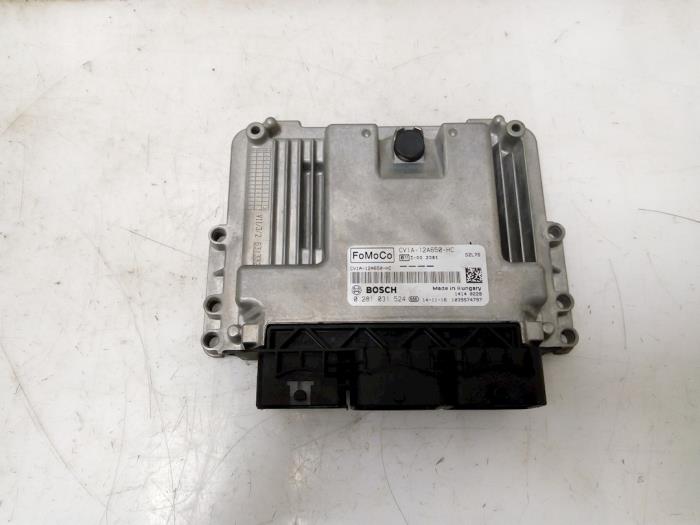 Used Engine management computer Ford B-Max (JK8) 1.6 TDCi 95 Price € 299,00 Margin scheme offered by Van Gils Automotive