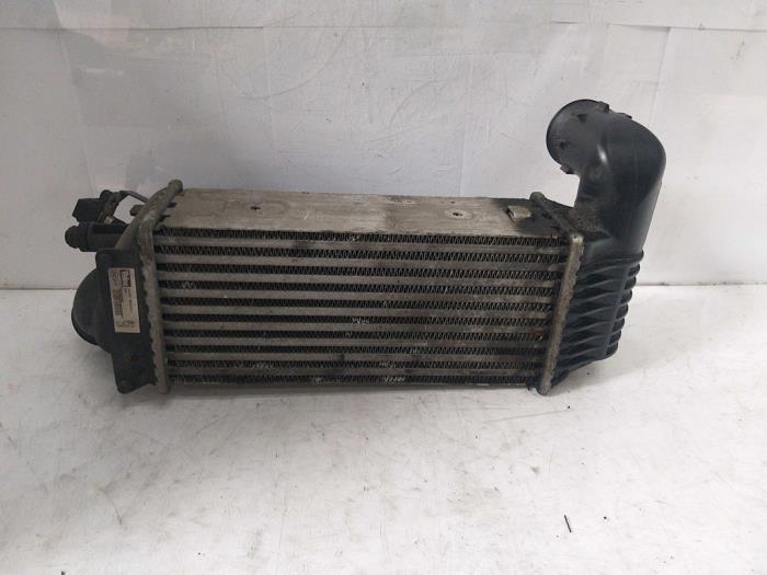 Usagé Intercooler Citroen C5 I Break (DE) 2.0 HDi 110 Prix € 60,00 Règlement à la marge proposé par Van Gils Automotive